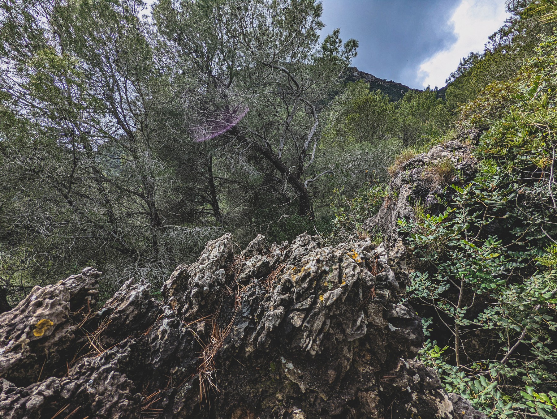 Local hiking Marxuquera